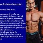 aumentar masa muscular