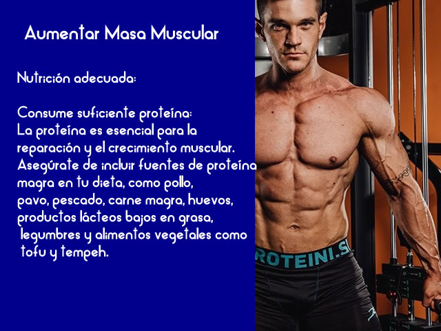 aumentar masa muscular nutricion
