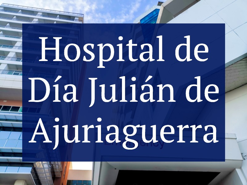 Hospital de Día Julián de Ajuriaguerra